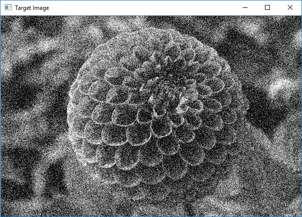 Gaussian noise (Flower grayscale image)