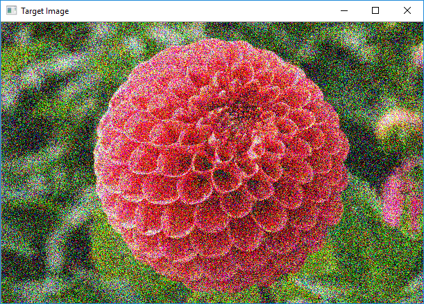 Gaussian noise (Flower RGB image)