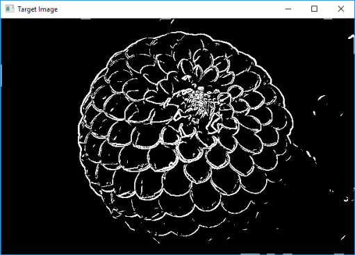 Prewitt edge detector with thresholding (Flower RGB image)
