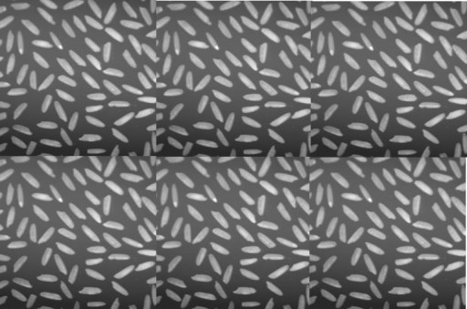 Rice (Grayscale image)