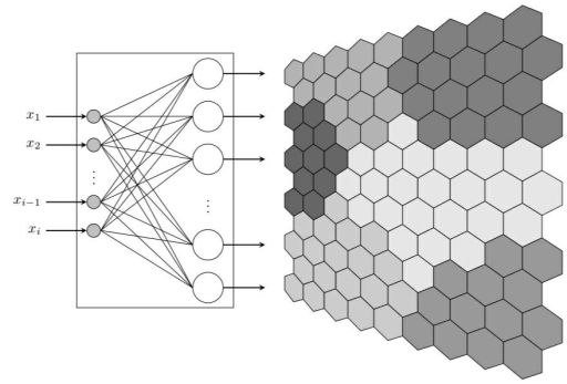 An elegant bridge between high-dimensional complexity and spatial intuition, illustrating how a Self-Organizing Map (SOM) translates abstract input vectors into a topologically preserved 2D hexagonal landscape where geometric proximity mirrors data similarity.